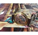 Reloj suizo de cuerda antiguo Omega cal 601 Ref 131.019 Plaque OR G20