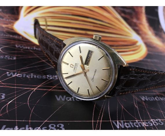 Omega Seamaster Swiss watch automatic old Ref 166036 Tool 107