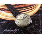 Omega Seamaster Reloj suizo antiguo automático Ref 166036 Tool 107