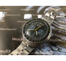 Seiko Bullhead Cal 6138 Chronograph Automatic Vintage watch Ref 6138-0040 JAPAN J